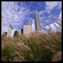 Landscape Photography